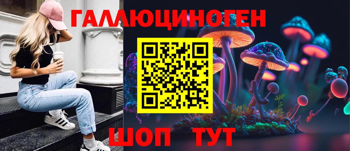 Псилоцибиновые грибы мицелий Котлас