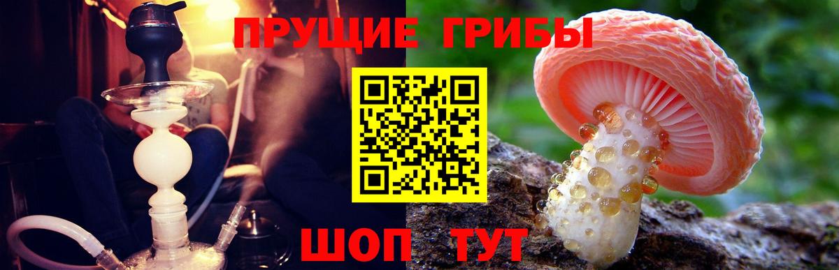Галлюциногенные грибы Psilocybe  Вход с VPN  Котлас 